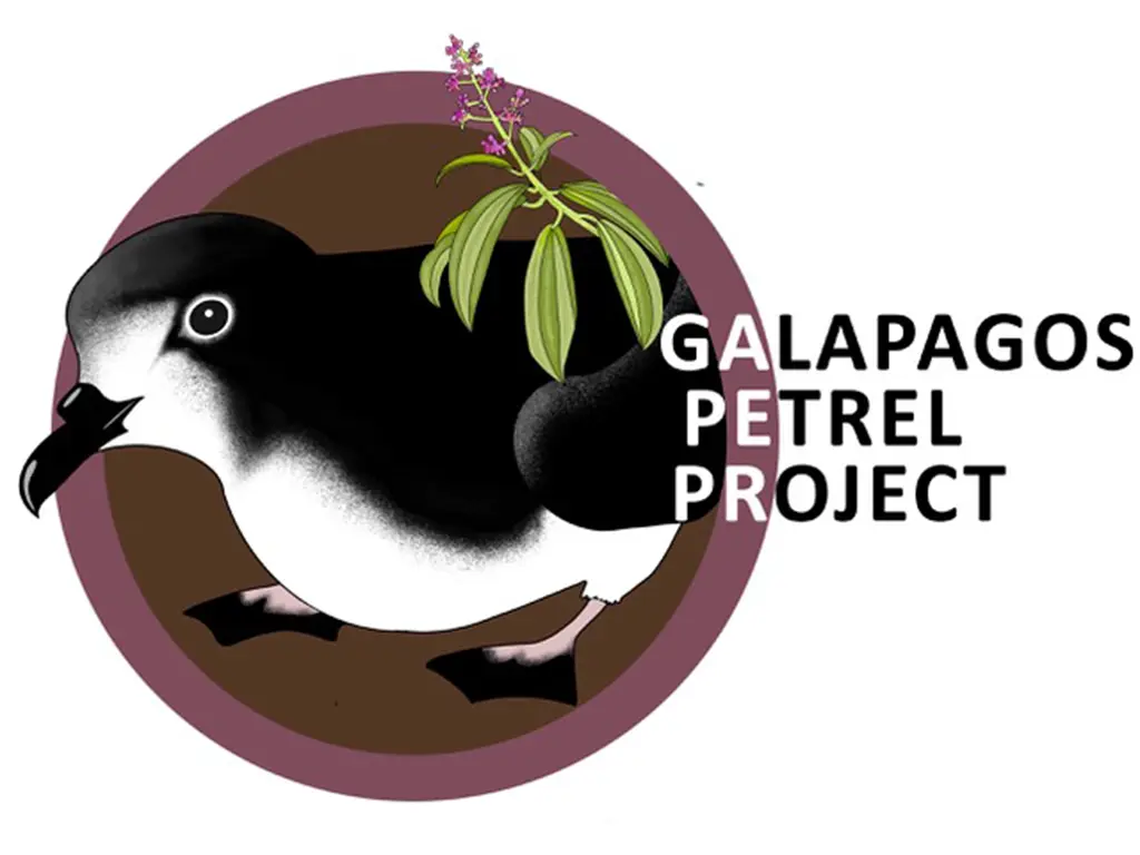 Galápagos Petrel Project field work